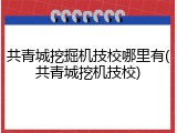 共青城挖掘机技校哪里有(共青城挖机技校)