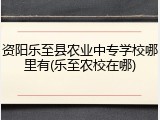 资阳乐至县农业中专学校哪里有(乐至农校在哪)
