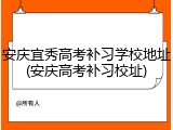 安庆宜秀高考补习学校地址(安庆高考补习校址)