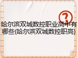 哈尔滨双城数控职业高中有哪些(哈尔滨双城数控职高)