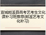宣城郎溪县高考艺考生文化课补习班推荐(郎溪艺考文化补习)