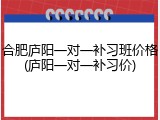 合肥庐阳一对一补习班价格(庐阳一对一补习价)