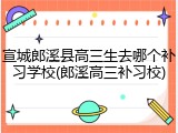 宣城郎溪县高三生去哪个补习学校(郎溪高三补习校)