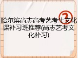 哈尔滨尚志高考艺考生文化课补习班推荐(尚志艺考文化补习)