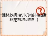 碑林挖机培训机构排名(碑林挖机培训排行)