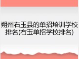 朔州右玉县的单招培训学校排名(右玉单招学校排名)