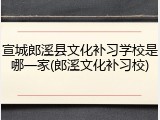 宣城郎溪县文化补习学校是哪一家(郎溪文化补习校)