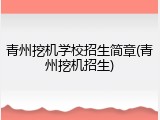 青州挖机学校招生简章(青州挖机招生)