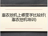 惠农挖机上哪里学比较好(惠农挖机培训)