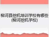 柳河县挖机培训学校有哪些(柳河挖机学校)