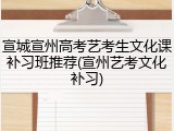 宣城宣州高考艺考生文化课补习班推荐(宣州艺考文化补习)