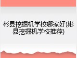 彬县挖掘机学校哪家好(彬县挖掘机学校推荐)