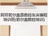 阿坝若尔盖县数控车床编程培训班(若尔盖数控培训)