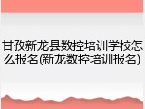 甘孜新龙县数控培训学校怎么报名(新龙数控培训报名)