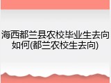 海西都兰县农校毕业生去向如何(都兰农校生去向)