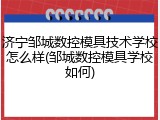 济宁邹城数控模具技术学校怎么样(邹城数控模具学校如何)