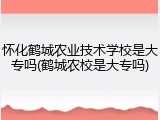 怀化鹤城农业技术学校是大专吗(鹤城农校是大专吗)