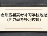 宿州泗县高考补习学校地址(泗县高考补习校址)