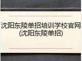 沈阳东陵单招培训学校官网(沈阳东陵单招)