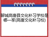 聊城高唐县文化补习学校是哪一家(高唐文化补习校)