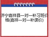 济宁嘉祥县一对一补习班价格(嘉祥一对一补课价)