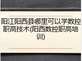 阳江阳西县哪里可以学数控职高技术(阳西数控职高培训)