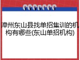 漳州东山县找单招集训的机构有哪些(东山单招机构)