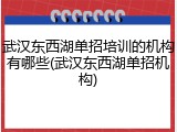 武汉东西湖单招培训的机构有哪些(武汉东西湖单招机构)