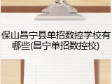 保山昌宁县单招数控学校有哪些(昌宁单招数控校)
