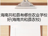 海南共和县有哪些农业学校好(海南共和县农校)