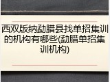 西双版纳勐腊县找单招集训的机构有哪些(勐腊单招集训机构)