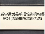 咸宁通城县单招培训机构哪家好(通城单招培训优选)