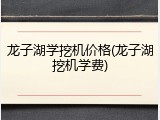 龙子湖学挖机价格(龙子湖挖机学费)