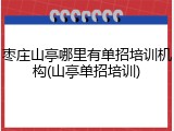 枣庄山亭哪里有单招培训机构(山亭单招培训)