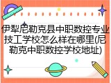 伊犁尼勒克县中职数控专业技工学校怎么样在哪里(尼勒克中职数控学校地址)