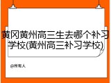 黄冈黄州高三生去哪个补习学校(黄州高三补习学校)