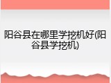 阳谷县在哪里学挖机好(阳谷县学挖机)