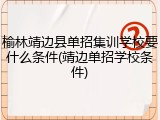 榆林靖边县单招集训学校要什么条件(靖边单招学校条件)
