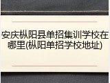 安庆枞阳县单招集训学校在哪里(枞阳单招学校地址)