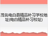茂名电白县精品补习学校地址(电白精品补习校址)