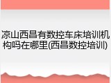 凉山西昌有数控车床培训机构吗在哪里(西昌数控培训)