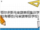 鄂尔多斯乌审旗单招集训学校有哪些(乌审旗单招学校)