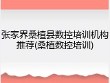 张家界桑植县数控培训机构推荐(桑植数控培训)