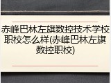 赤峰巴林左旗数控技术学校职校怎么样(赤峰巴林左旗数控职校)