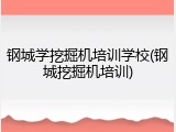 钢城学挖掘机培训学校(钢城挖掘机培训)
