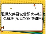 昭通永善县农业职高学校怎么样啊(永善农职校如何)