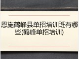 恩施鹤峰县单招培训班有哪些(鹤峰单招培训)