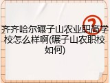 齐齐哈尔碾子山农业职高学校怎么样啊(碾子山农职校如何)