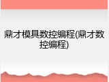 鼎才模具数控编程(鼎才数控编程)