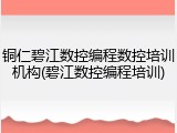 铜仁碧江数控编程数控培训机构(碧江数控编程培训)